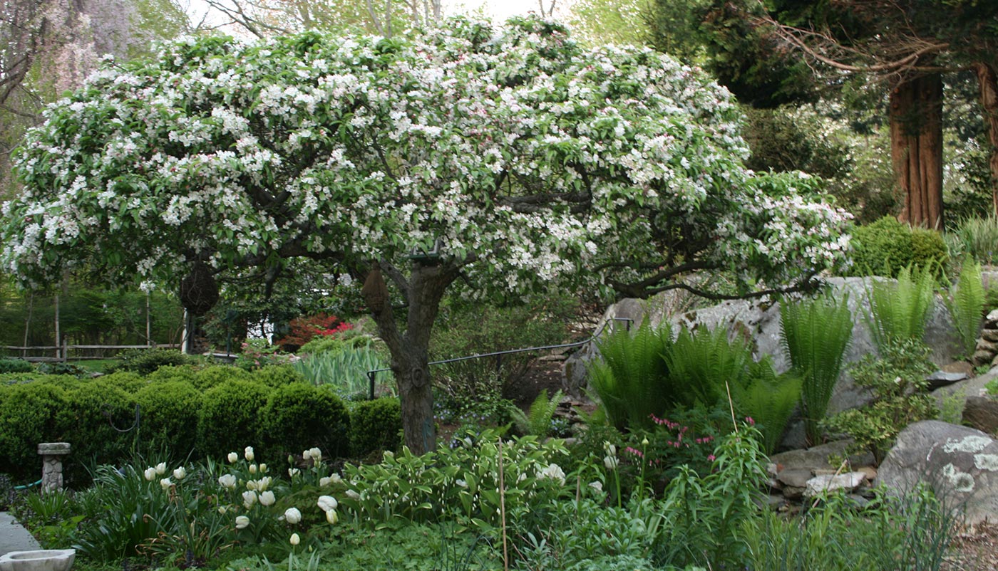 Pat Miller Designs - Landscape Designer - Slider02